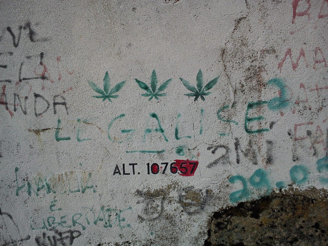 Diálogo con las artes. Narcos