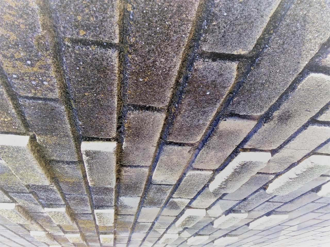 IMG 20190101 124021