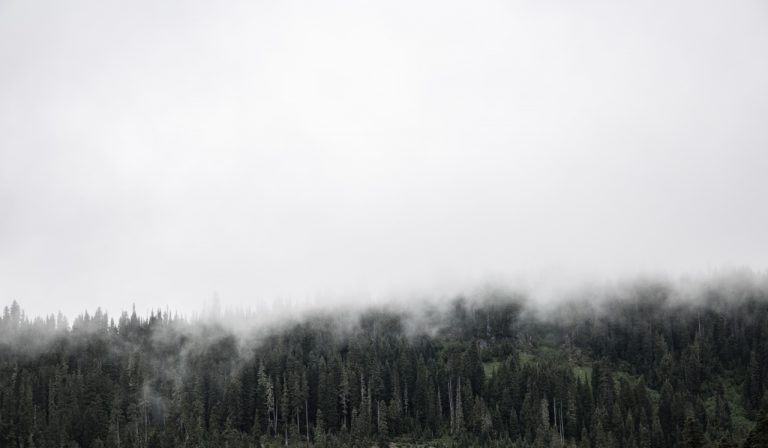 ¿Y qué es lo que trae la niebla? «Lo que trae la niebla», de M. Rubio