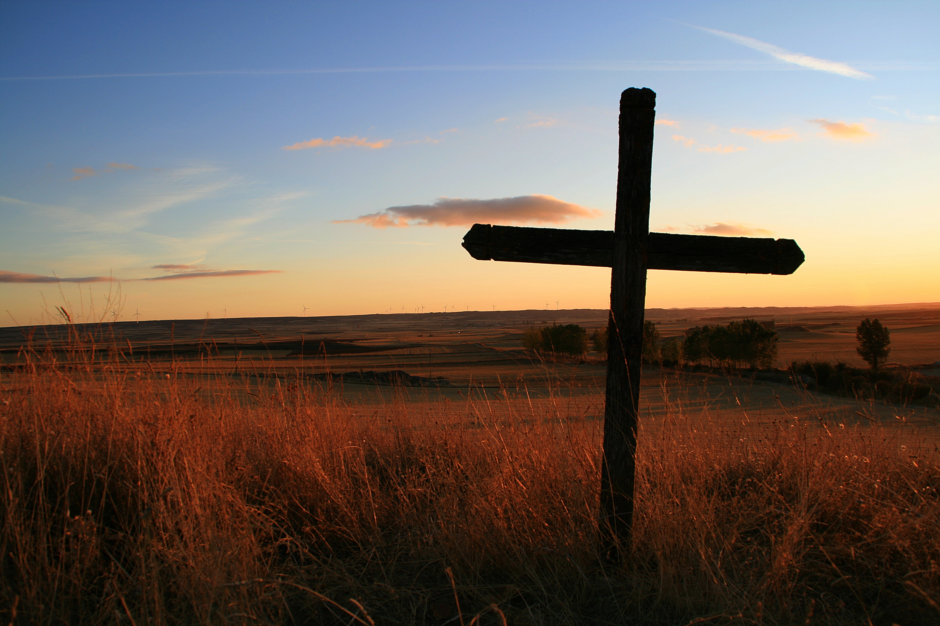 Campos de Gomara.Soria. (6231929276)