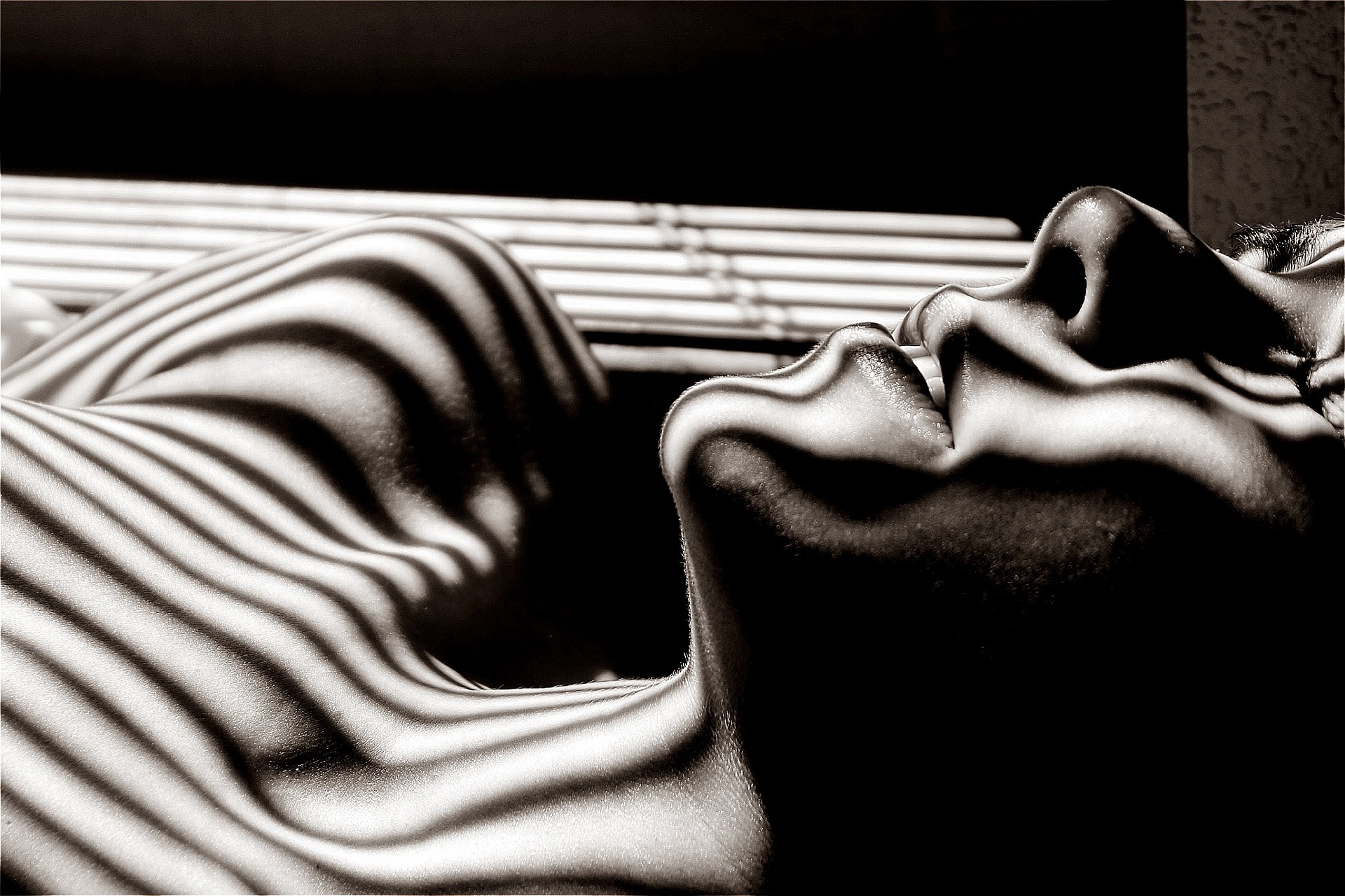 Black and white 2600656 1920 (1)