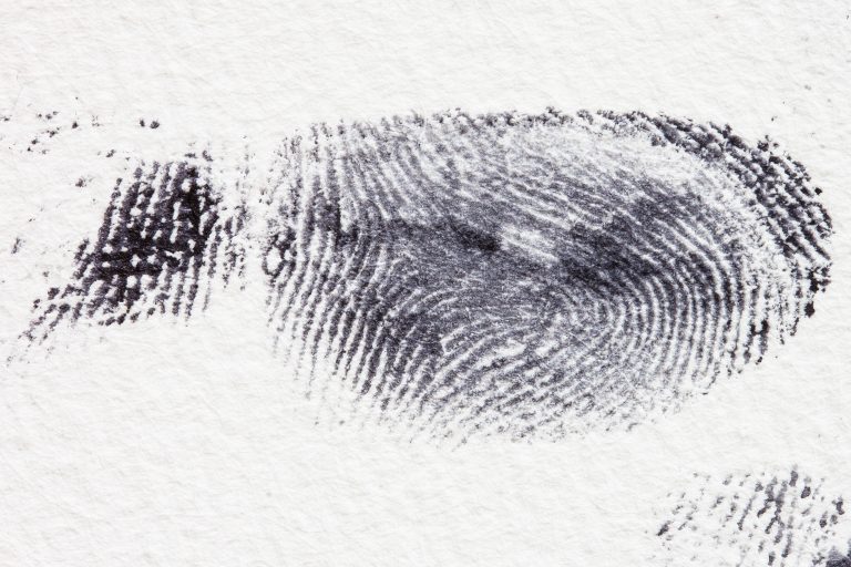 La poética de lo híbrido. “Cuerpos perdidos en las morgues. Una novela de detectives”, de Xaime Martínez