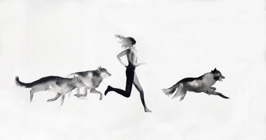Mujeres que corren con lobos portada