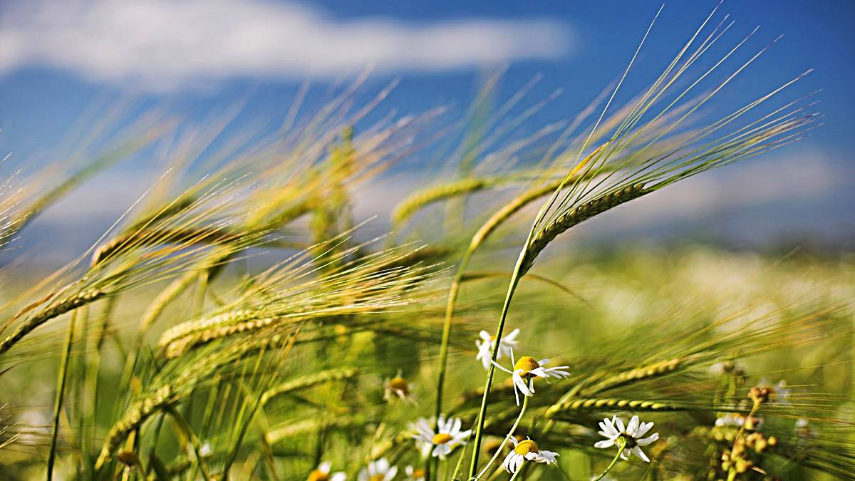 Viento que es como produce