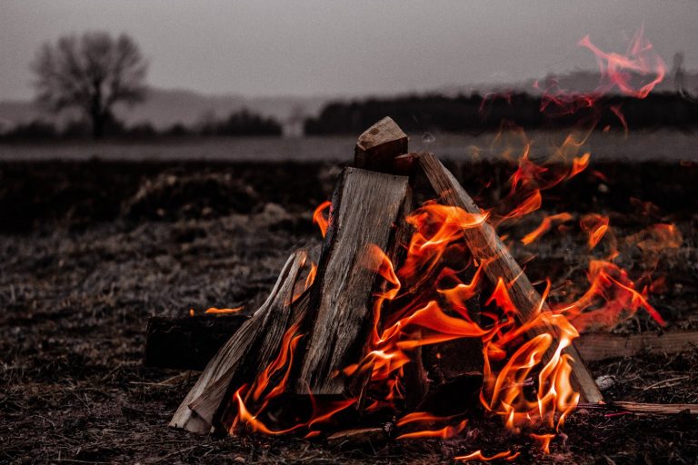 La hora de mostrar las cicatrices. “Las cosas que perdimos en el fuego”, de Mariana Enriquez