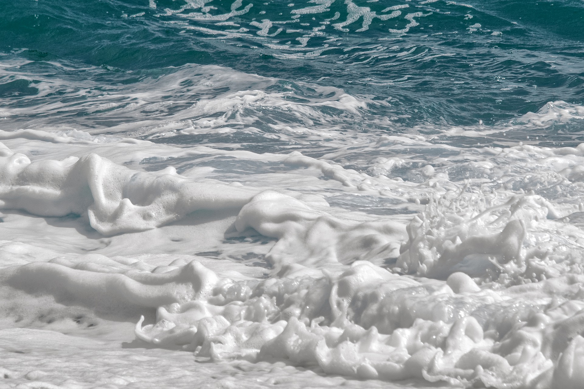Sea 4466575
