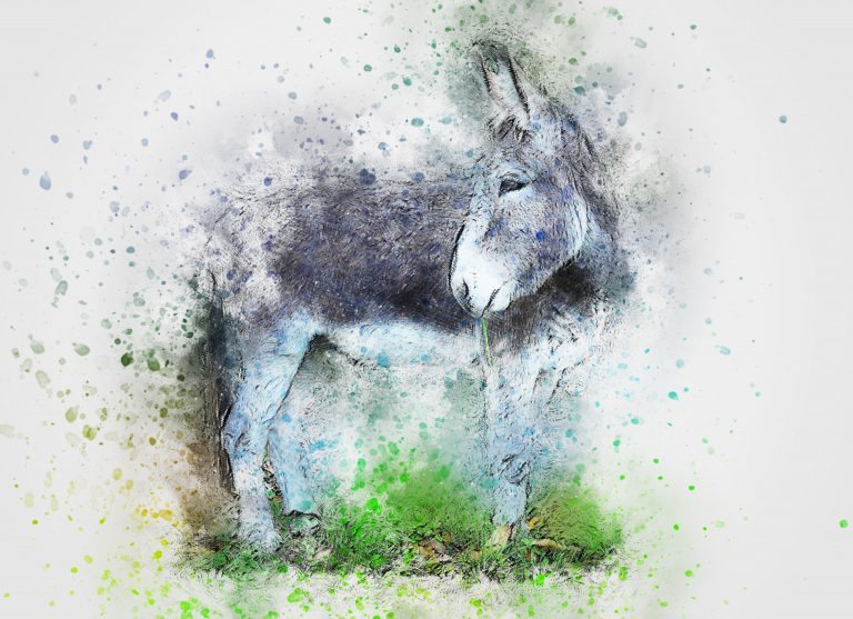 «Platero y yo»: la poética de Juan Ramón Jiménez