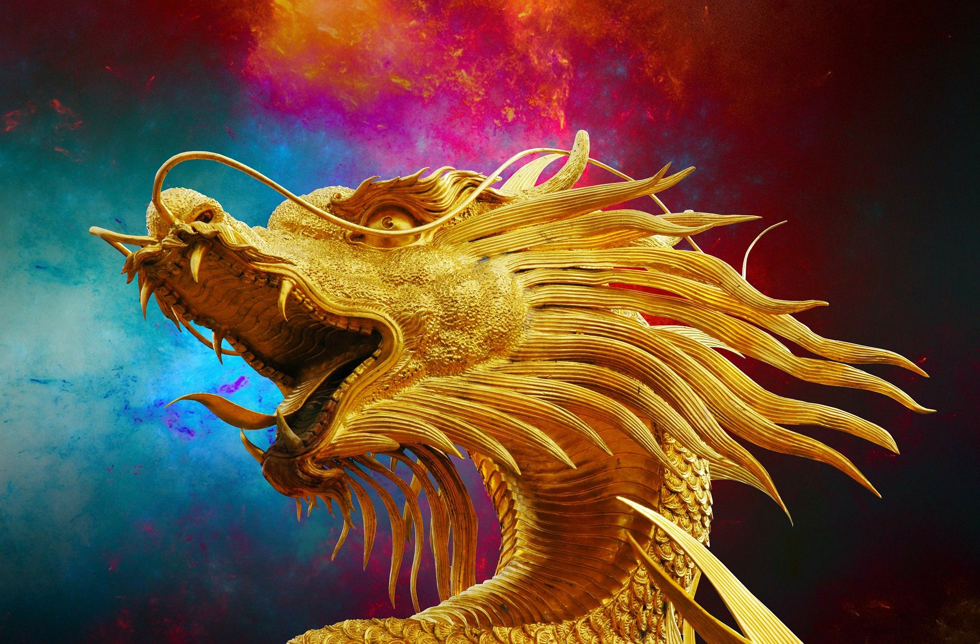 Dragon 238931