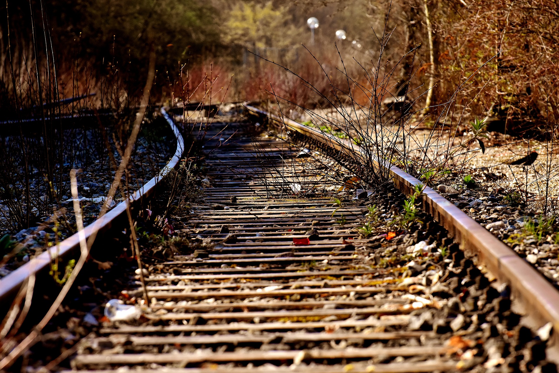 Rails 3371495