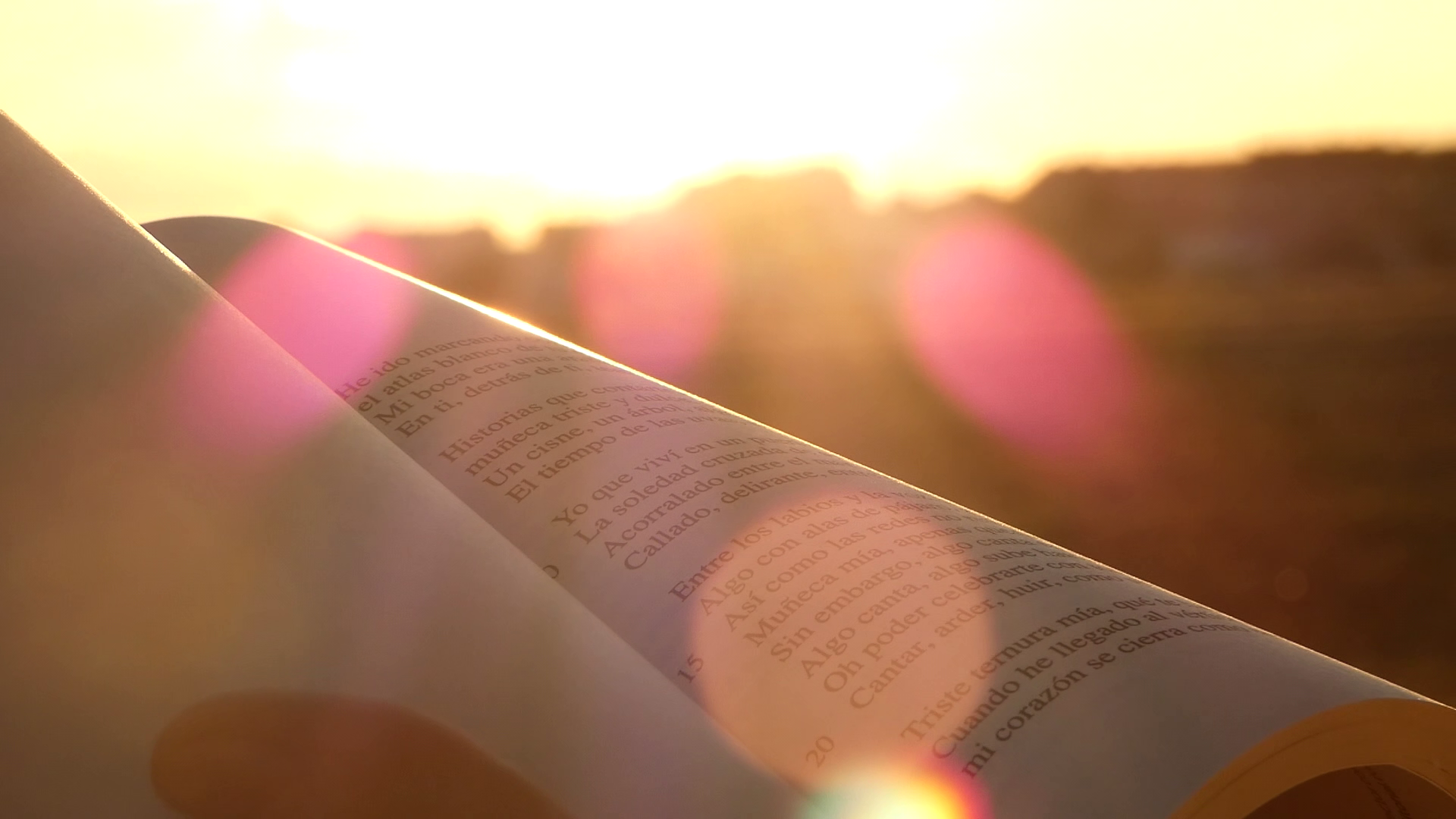 Libro (1)