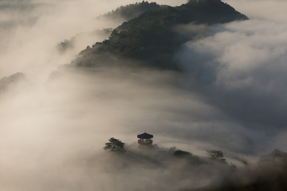 Niebla