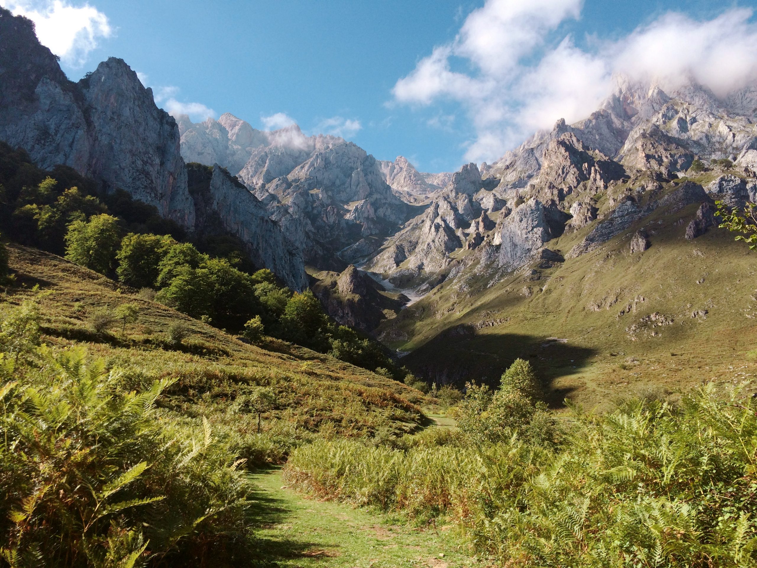 Fondo Los montes antiguos