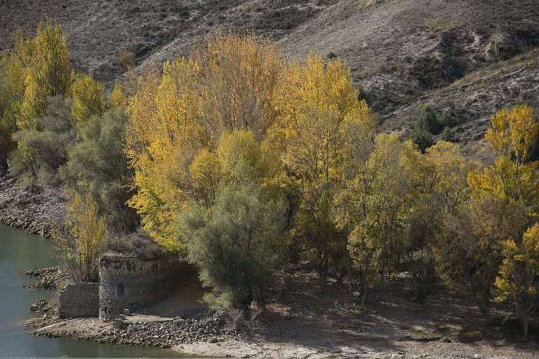 Con el espíritu ahogado bajo el agua. “La marca del agua”, de Montserrat Iglesias