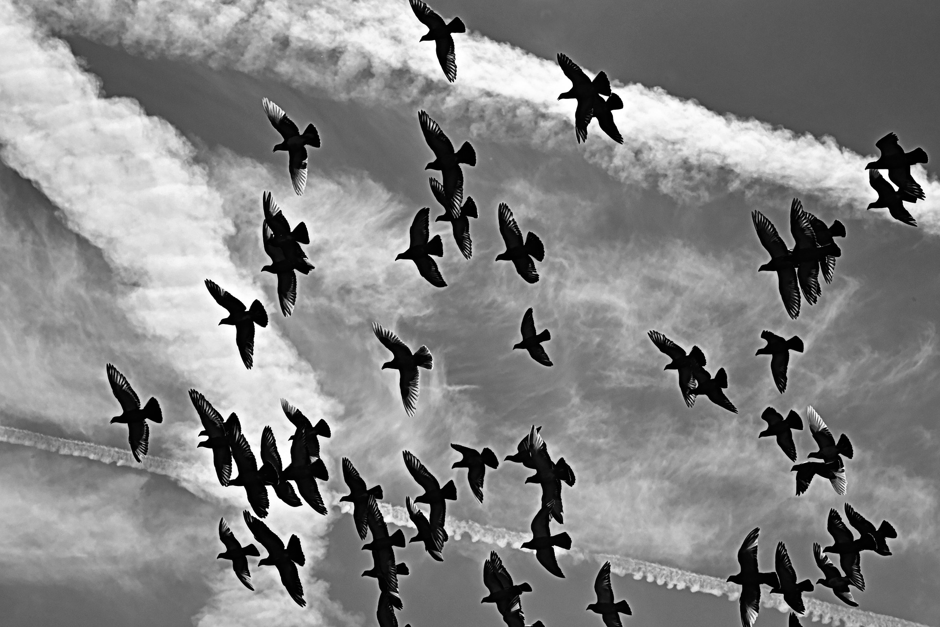 FONDO MANERAS DE IRSE