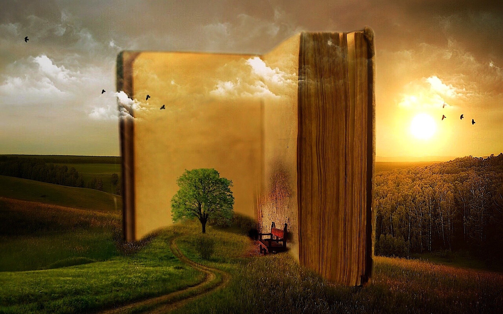 Book g71c6ae936