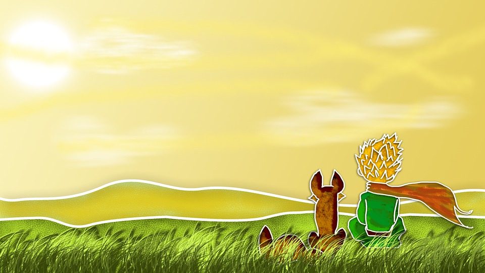 Fondo el principito
