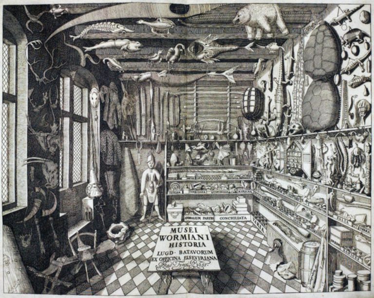 El arte de la museología. “El Gabinete de las Maravillas de Mr. Wilson”, Lawrence Weschler