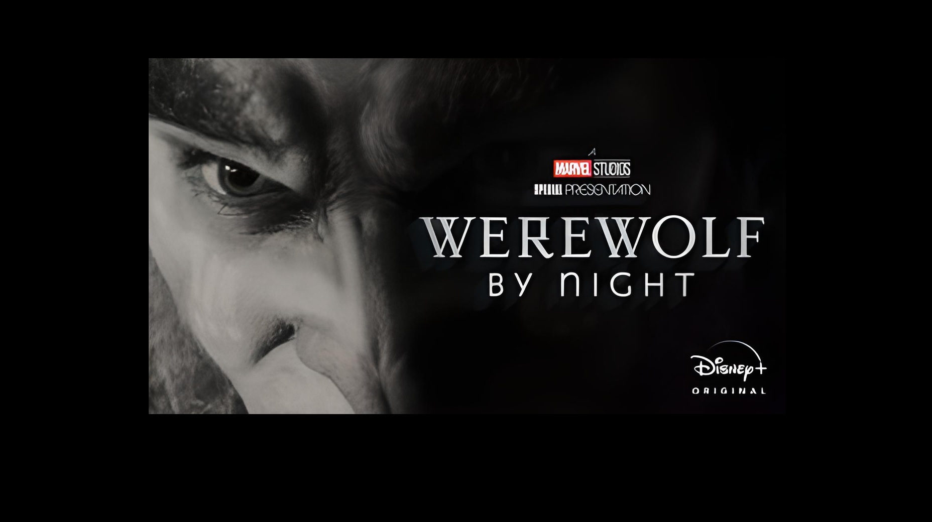 Fondo werewolf