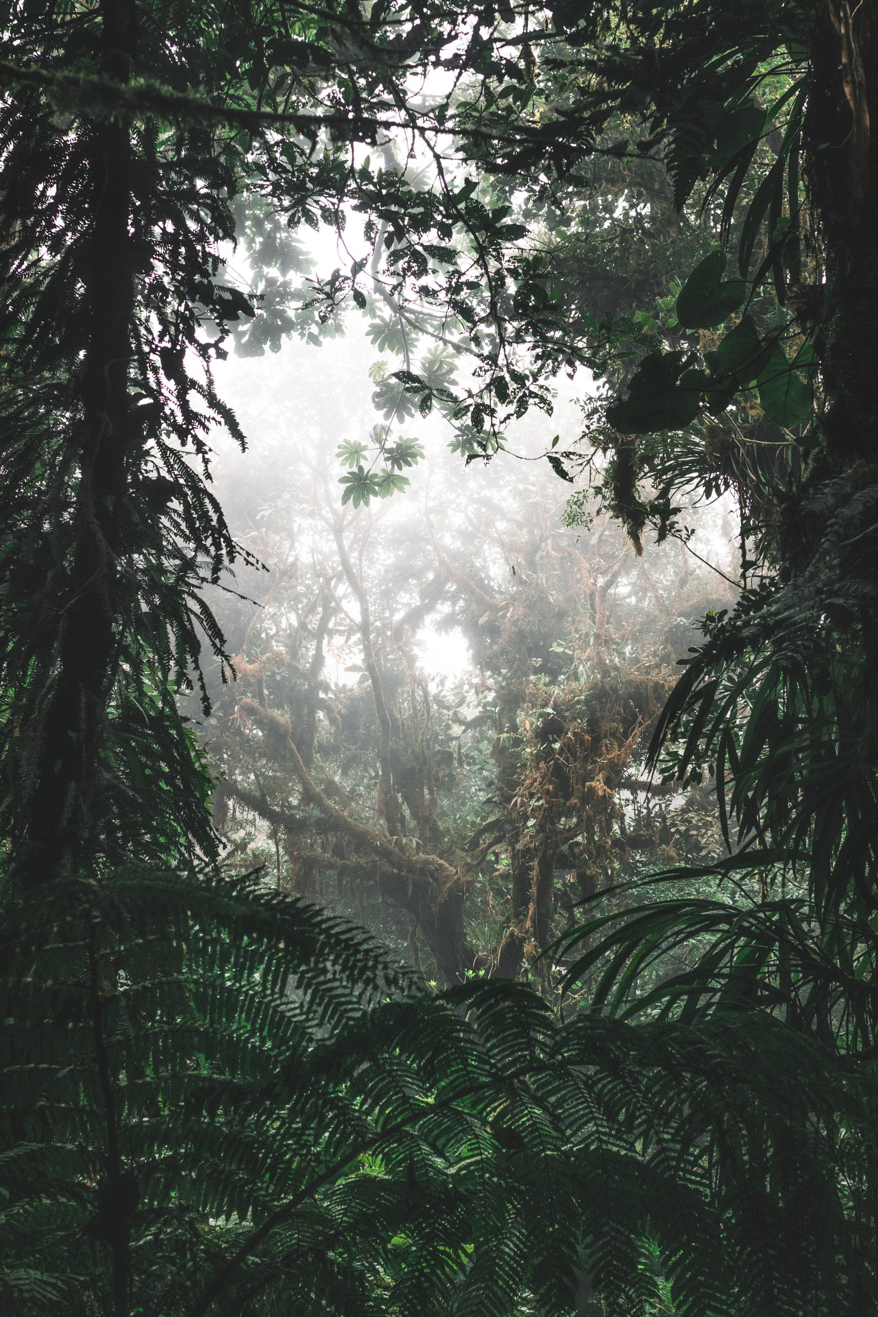 Jan kronies K x7h4NXtAY unsplash