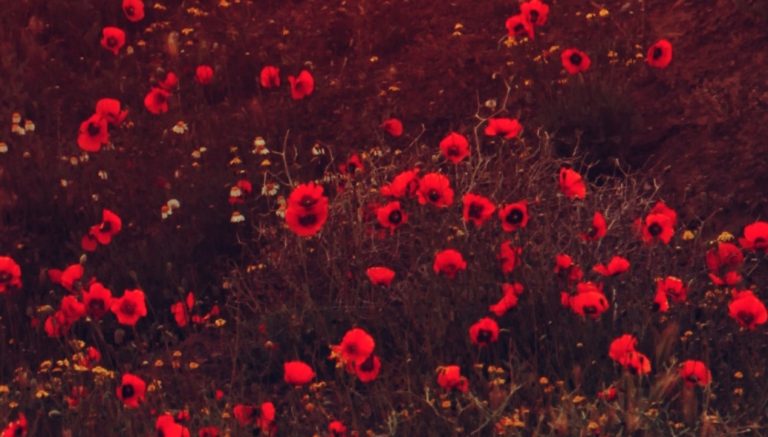 Alles wird nicht wieder gut. “Un amor”, por Isabel Coixet