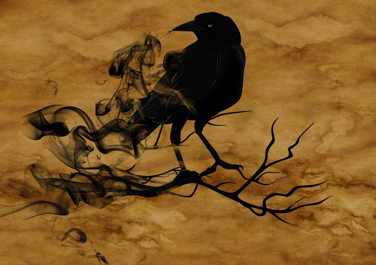 Thumbnail image0