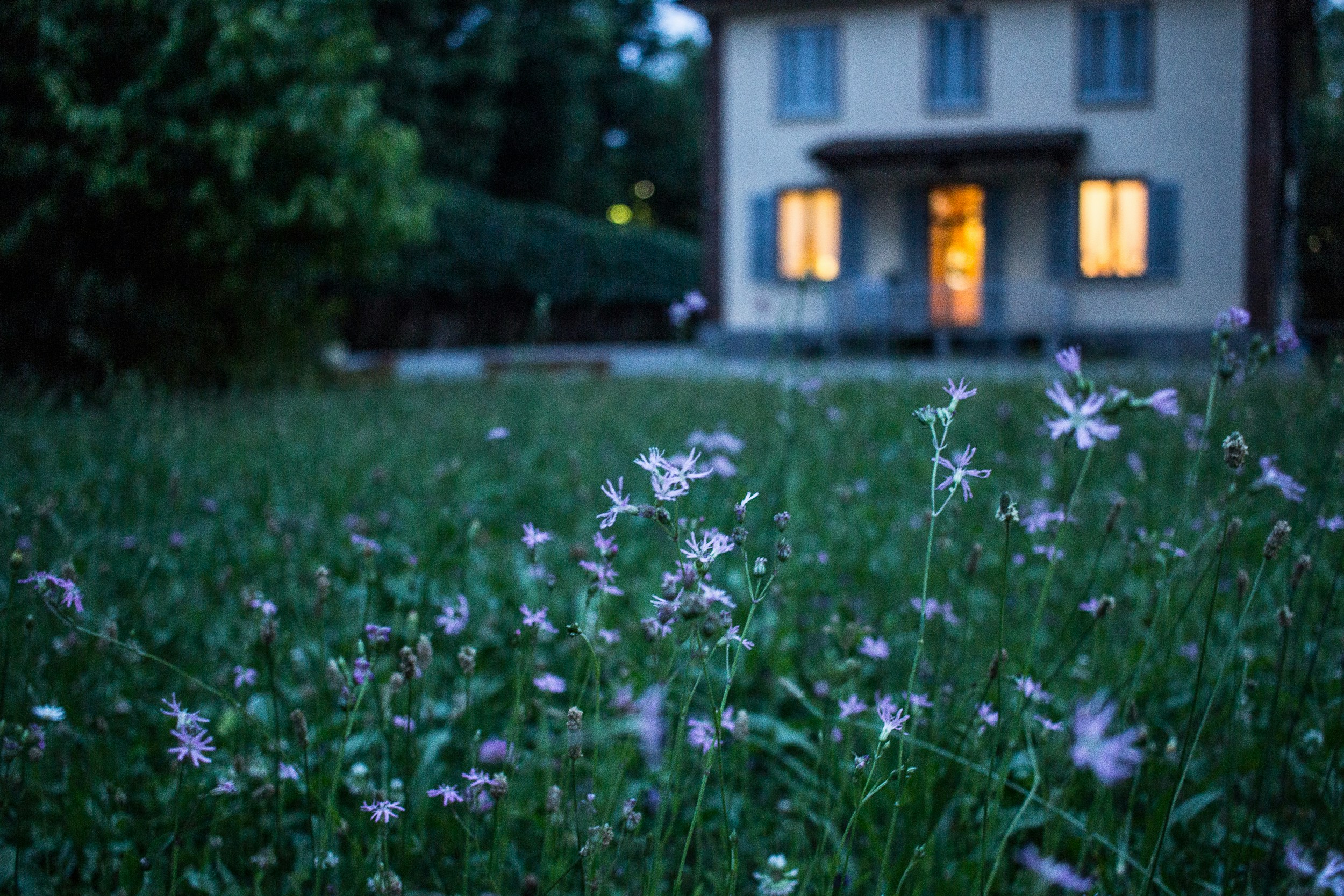Valentina locatelli P8bsrm8KbM0 unsplash