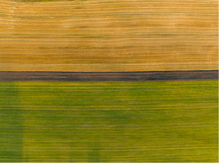 La colonización del campo. Sobre “Paisaje nacional”, de Millanes Rivas