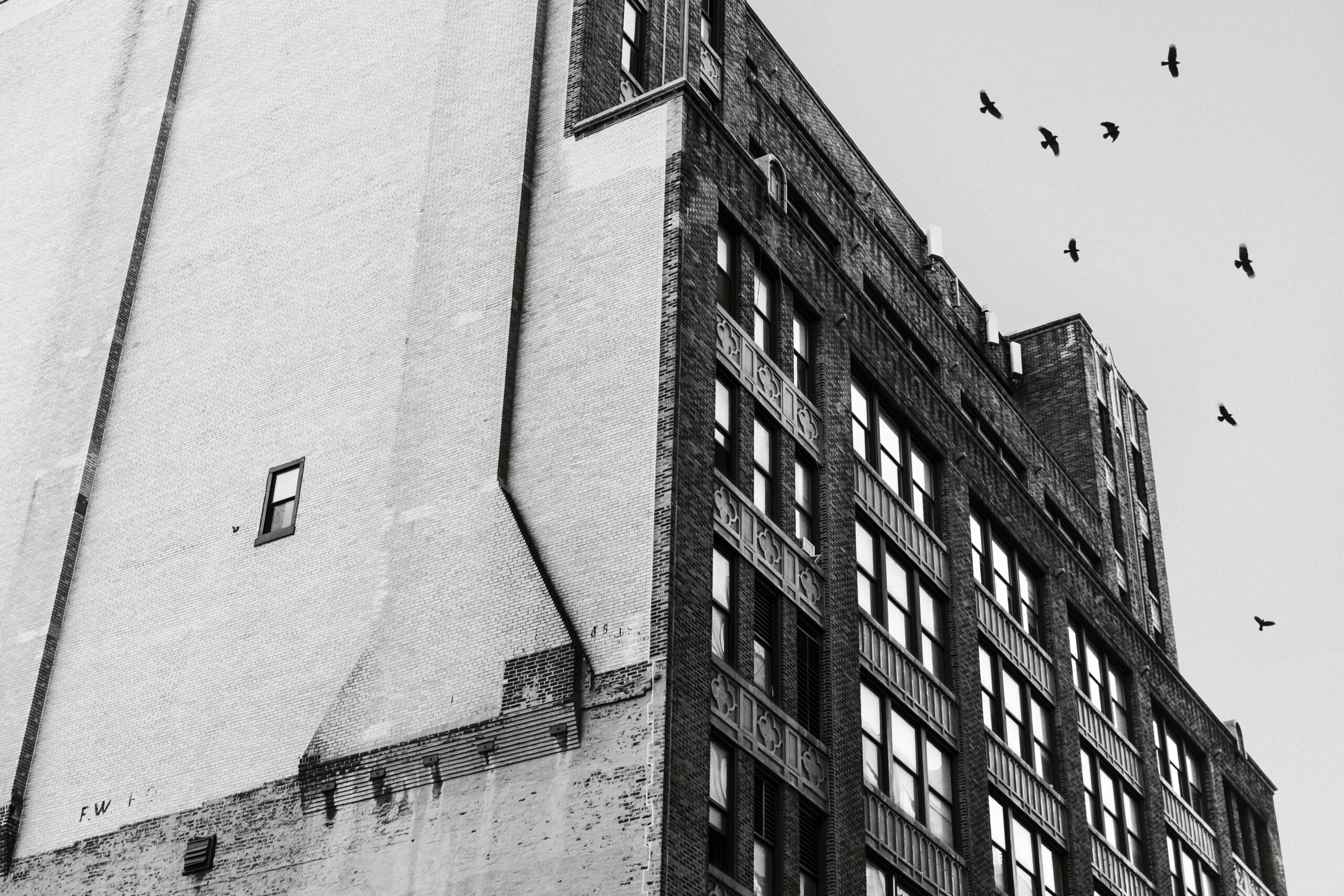 Gratisography 373H free stock photo