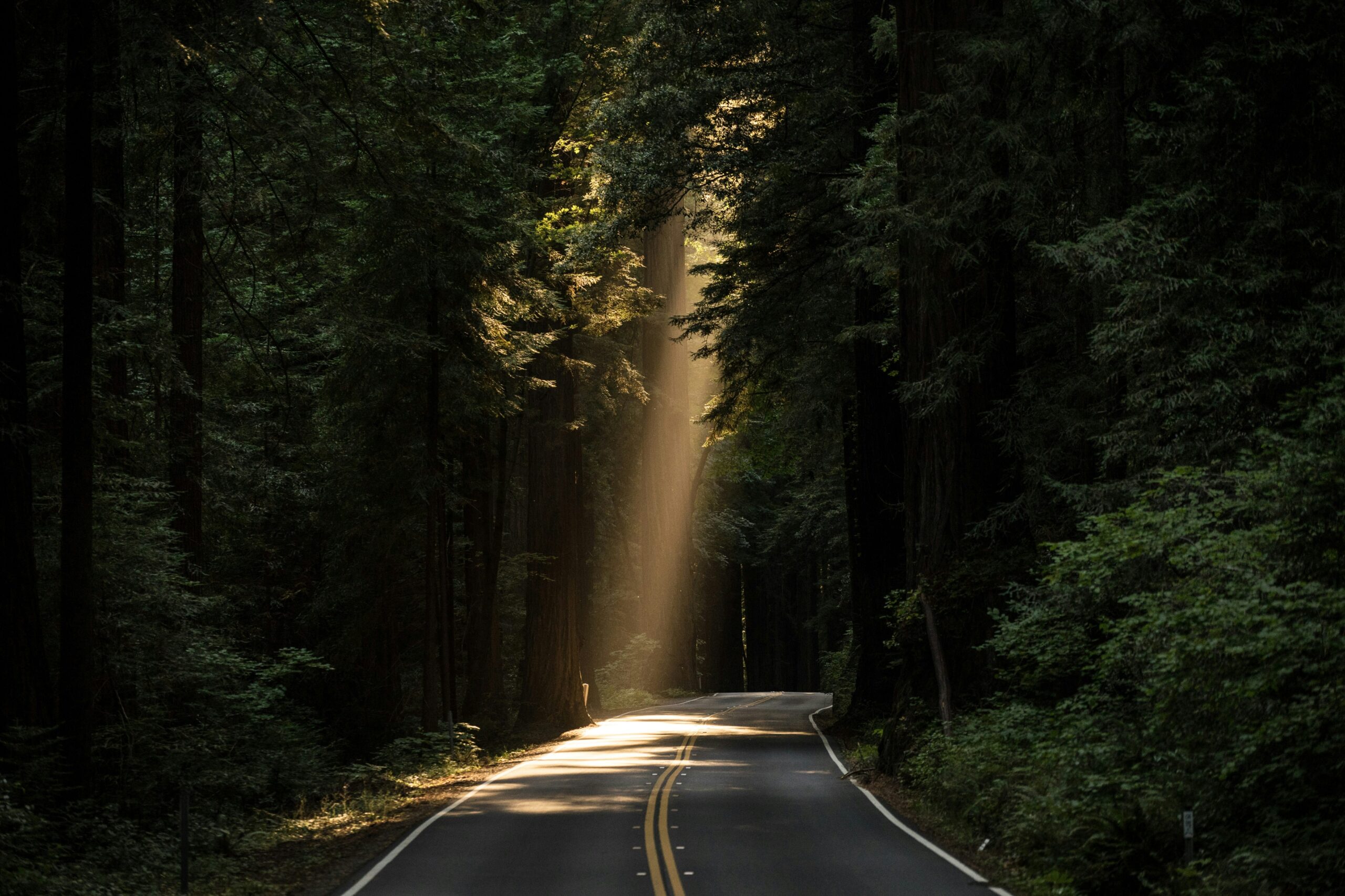 John towner 3Kv48NS4WUU unsplash